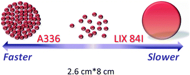 Graphical abstract: Hydrophobic ligand-mediated hierarchical Cu nanoparticles on reduced graphene oxides for SERS platform