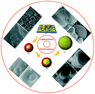 Graphical abstract: Self-organized spatial patterns of carbonate formed via a nonclassical crystallization pathway