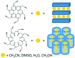 Graphical abstract: Ring size effect on the solid state assembly of propargyl substituted hexa- and octacyclic peptoids