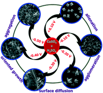 Graphical abstract: Fabrication of different copper nanostructures on indium-tin-oxide electrodes: shape dependent electrocatalytic activity