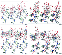 Graphical abstract: Effects of solvent and supersaturation on crystal morphology of cefaclor dihydrate: a combined experimental and computer simulation study