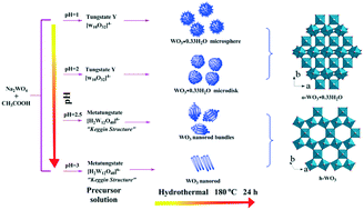 Graphical abstract: pH-controlled assembly of three-dimensional tungsten oxide hierarchical nanostructures for catalytic oxidation of cyclohexene to adipic acid