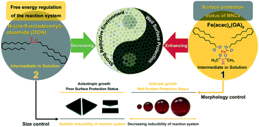 Graphical abstract: Designing a large scale synthesis strategy for high quality magnetite nanocrystals on the basis of a solution behavior regulated formation mechanism