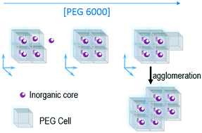 Graphical abstract: New insights into polymer mediated formation of anatase mesocrystals