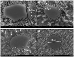 Graphical abstract: Thermodynamic behaviour and formation mechanism of novel titanium carbide dendritic crystals within a molten pool of selective laser melting TiC/Ti–Ni composites