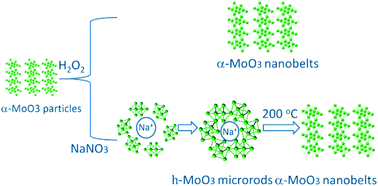 Graphical abstract: Crystal phase- and morphology-controlled synthesis of MoO3 materials