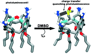 Graphical abstract: Solvatomorphs of 25,26,27,28-tetrahydroxycalix[4]arene and 5,11,17,23-tetramino-25,26,27,28-tetrabutoxycalix[4]arene: quenching photoluminescence through switching the guest