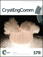 Graphical abstract: Front cover