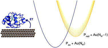 Graphical abstract: A dynamical approach to non-adiabatic electron transfers at the bio-inorganic interface