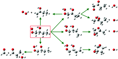 Graphical abstract: Intramolecular effects on the kinetics of unimolecular reactions of β-HOROO˙ and HOQ˙OOH radicals