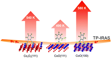 Graphical abstract: The surface structure matters: thermal stability of phthalic acid anchored to atomically-defined cobalt oxide films