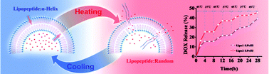 Graphical abstract: A designed lipopeptide with a leucine zipper as an imbedded on/off switch for lipid bilayers