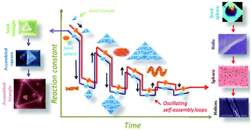 Graphical abstract: A simultaneous one pot synthesis of two fractal structures via swapping two fractal reaction kinetic states