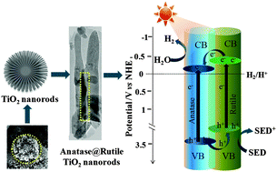 Graphical abstract: Fabrication of mixed phase TiO2 heterojunction nanorods and their enhanced photoactivities