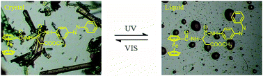 Graphical abstract: A ferrocene–azobenzene derivative showing unprecedented phase transition and better solubility upon UV irradiation