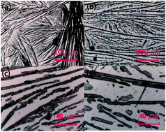 Graphical abstract: The growth mechanism and ferroelectric domains of diisopropylammonium bromide films synthesized via 12-crown-4 addition at room temperature