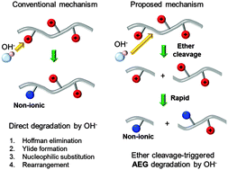 Graphical abstract: Ether cleavage-triggered degradation of benzyl alkylammonium cations for polyethersulfone anion exchange membranes