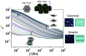 Graphical abstract: Molecular dynamics of anhydrous glycolipid self-assembly in lamellar and hexagonal phases