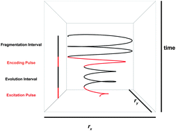 Graphical abstract: Theory for spiralling ions for 2D FT-ICR and comparison with precessing magnetization vectors in 2D NMR