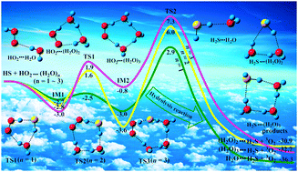 Graphical abstract: The catalytic effect of water, water dimers and water trimers on H2S + 3O2 formation by the HO2 + HS reaction under tropospheric conditions