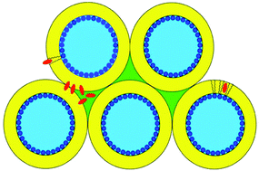 Graphical abstract: Phase transitions in hydrophobe/phospholipid mixtures: hints at connections between pheromones and anaesthetic activity