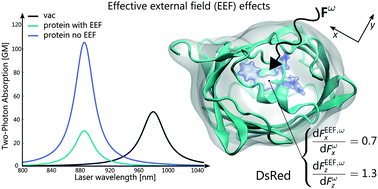 Graphical abstract: Local electric fields and molecular properties in heterogeneous environments through polarizable embedding