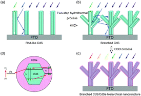 Graphical abstract: CdSe-sensitized branched CdS hierarchical nanostructures for efficient photoelectrochemical solar hydrogen generation