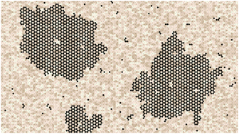 Graphical abstract: Enhancement of island size by dynamic substrate disorder in simulations of graphene growth