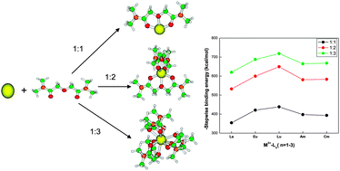 Graphical abstract: Complexation thermodynamics of diglycolamide with f-elements: solvent extraction and density functional theory analysis