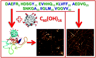 Graphical abstract: Fullerenol C60(OH)16 prevents amyloid fibrillization of Aβ40 – in vitro and in silico approach