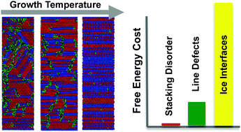 Graphical abstract: Free energy contributions and structural characterization of stacking disordered ices