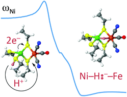 Graphical abstract: Why is a proton transformed into a hydride by [NiFe] hydrogenases? An intrinsic reactivity analysis based on conceptual DFT