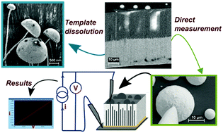 Graphical abstract: Direct electrical transport measurement on a single thermoelectric nanowire embedded in an alumina template