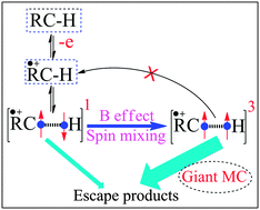 Graphical abstract: Spin-dependent deprotonation induced giant magnetocurrent in electrochemical cells