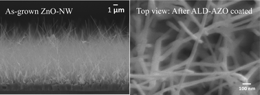 Graphical abstract: Enhanced electrical properties and field emission characteristics of AZO/ZnO-nanowire core–shell structures