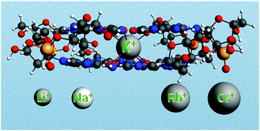 Graphical abstract: The role of alkali metal cations in the stabilization of guanine quadruplexes: why K+ is the best