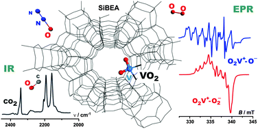 Graphical abstract: Paramagnetic dioxovanadium(iv) molecules inside the channels of zeolite BEA – EPR screening of VO2 reactivity toward small gas-phase molecules