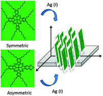 Graphical abstract: The optical characterization of metal-mediated aggregation behaviour of amphiphilic Zn(ii) phthalocyanines