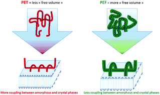 Graphical abstract: Glass transition dynamics and cooperativity length of poly(ethylene 2,5-furandicarboxylate) compared to poly(ethylene terephthalate)