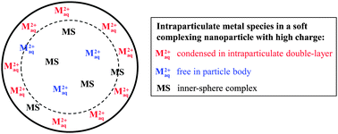 Graphical abstract: Intraparticulate speciation analysis of soft nanoparticulate metal complexes. The impact of electric condensation on the binding of Cd2+/Pb2+/Cu2+ by humic acids