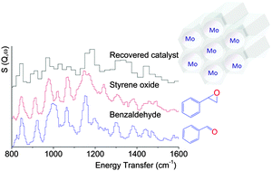 Graphical abstract: Looking inside the pores of a MCM-41 based Mo heterogeneous styrene oxidation catalyst: an inelastic neutron scattering study