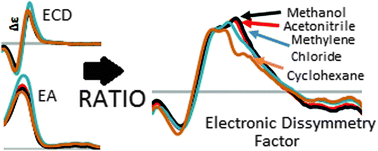 Graphical abstract: Solvation dependence observed in the electronic dissymmetry factor spectra: how much information are we missing by analyzing the circular dichroism spectra alone?