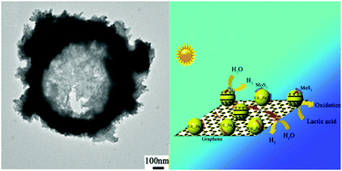 Graphical abstract: Biomolecule-assisted synthesis of defect-mediated Cd1−xZnxS/MoS2/graphene hollow spheres for highly efficient hydrogen evolution