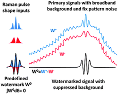 Graphical abstract: Spectral watermarking in femtosecond stimulated Raman spectroscopy: resolving the nature of the carotenoid S* state