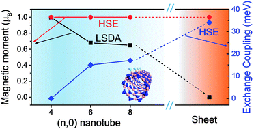 Graphical abstract: Robust half-metallic ferromagnetism and curvature dependent magnetic coupling in fluorinated boron nitride nanotubes