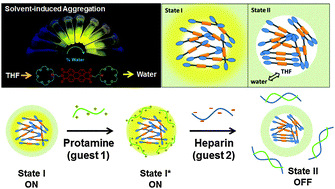 Graphical abstract: Amplified fluorescence emission of bolaamphiphilic perylene-azacrown ether derivatives directed towards molecular recognition events