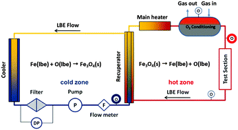 Graphical abstract: Oxygen–iron interaction in liquid lead–bismuth eutectic alloy