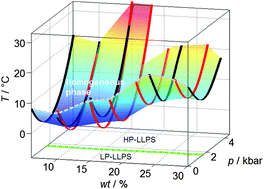 Graphical abstract: Phase behavior of lysozyme solutions in the liquid–liquid phase coexistence region at high hydrostatic pressures