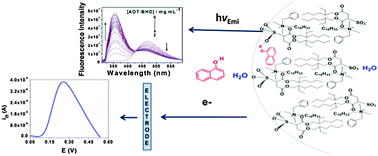 Graphical abstract: Electrochemical and photophysical behavior of 1-naphthol in benzyl-n-hexadecyldimethylammonium 1,4-bis(2-ethylhexyl)sulfosuccinate large unilamellar vesicles