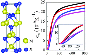 Graphical abstract: Phonon and thermal expansion properties in Weyl semimetals MX (M = Nb, Ta; X = P, As): ab initio studies